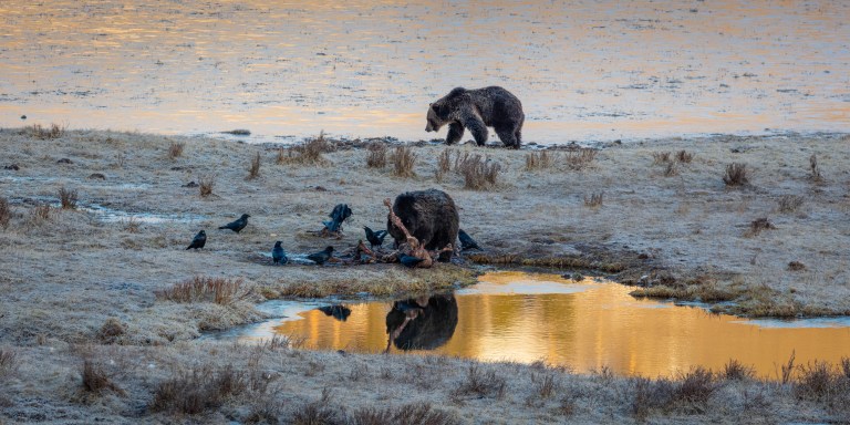 NPS / Jacob W. Frank